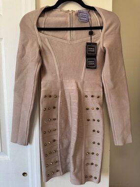 Herve leger stud dress